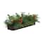 30" Evergreen Pine & Pine Cone Artificial Christmas Centerpiece